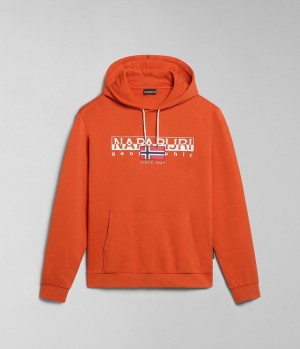 Napapijri Aylmer Hoodie Hoodie Herren Orange | TJO-761980