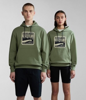Napapijri Boyd Hoodie Hoodie Damen Grün | RCS-892567