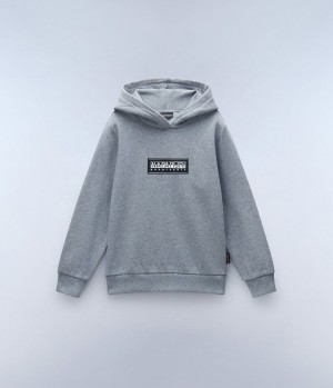 Napapijri Chamois Hoodie (4-16 YEARS) Hoodie Kinder Grau | HEZ-560389