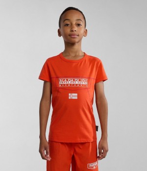 Napapijri Cree Short Sleeve T-Shirt (4-16 YEARS) T-shirts Kinder Orange | WEA-479012