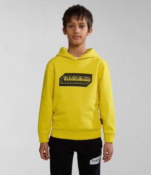 Napapijri Kitik Hoodie (4-16 YEARS) Hoodie Kinder Gelb | BMU-042376
