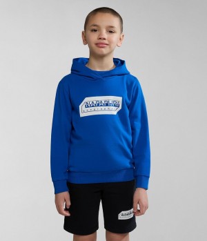Napapijri Kitik Hoodie (4-16 YEARS) Hoodie Kinder Blau | GRM-978231