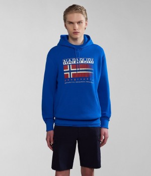 Napapijri Kreis Hoodie Hoodie Herren Blau | PSF-658037