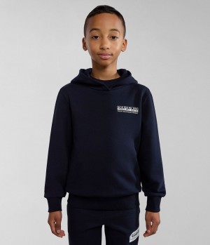 Napapijri Liard Hoodie (4-16 YEARS) Hoodie Kinder Dunkelblau | JDP-490567